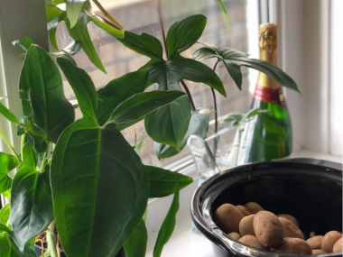 Clerkenwell, EC1V 8DQ