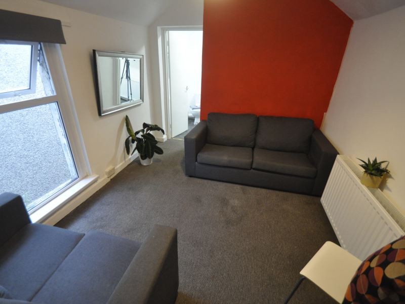 Available Room For Rent In Uplands Swansea ideal flatmate