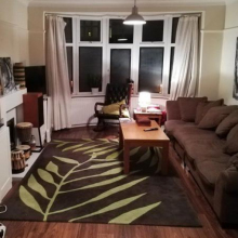 Male Professional, Dave, seeking flatmate 