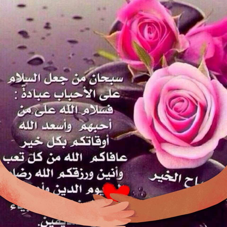 https://d2yht872mhrlra.cloudfront.net/user/106105/user_106105.jpg