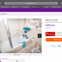 Female Professional, Gemma, seeking flatmate in Putney 