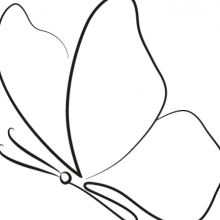 Female Freelancer/self employed, Tati, seeking flatmate 