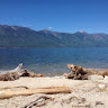  Student, Olivia, seeking flatmate in Sidcup 