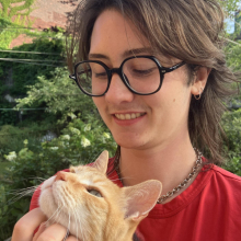 Male Professional, Frances, seeking flatmate 