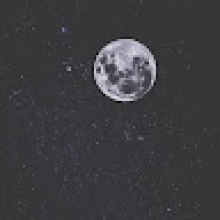  Student, Lotte, seeking flatmate in Southampton 