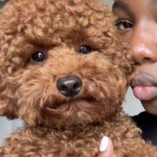 Female Student, Genesise, seeking flatmate in Birmingham 