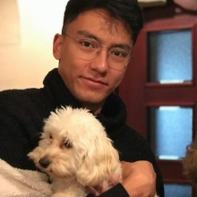 Male Professional, Massimo, seeking flatmate in London 