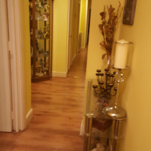 Female Professional, Amandio, seeking flatmate 