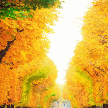 Male Professional, ChrisTylor, seeking flatmate in Finsbury Park 